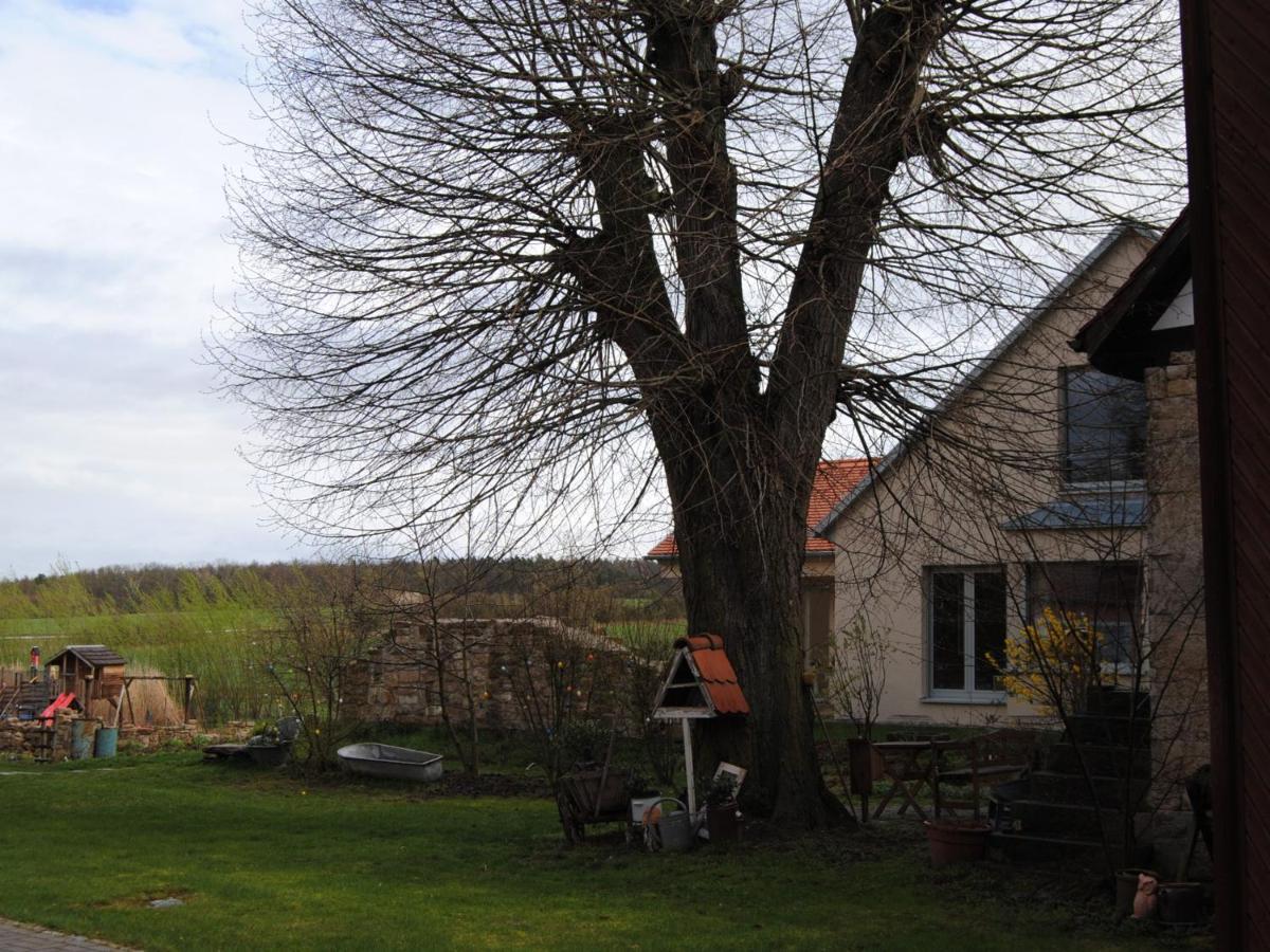 Ferienhaus Lindenhof Nohra  Eksteriør bilde